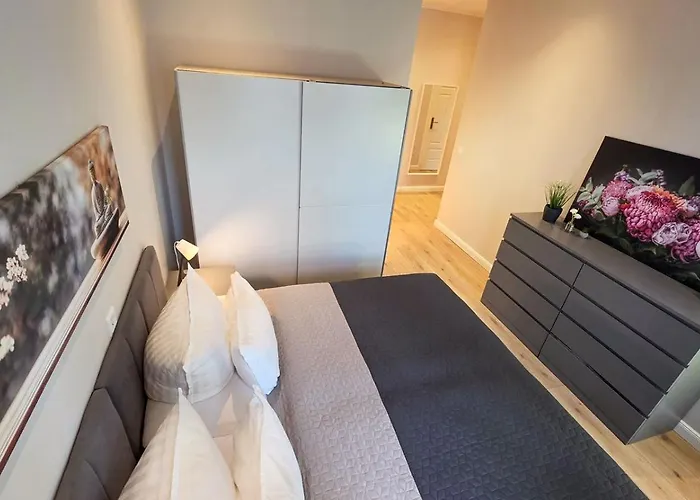 Appartement Amadeus *